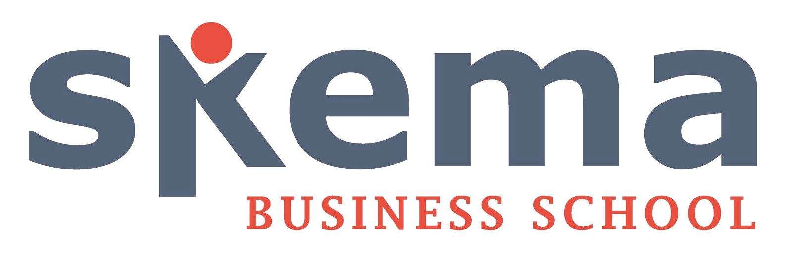 logo of skema